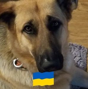 Meet your Posher, Char